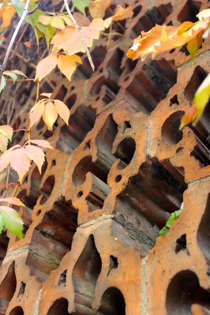 Gilly. Florence, Italy.