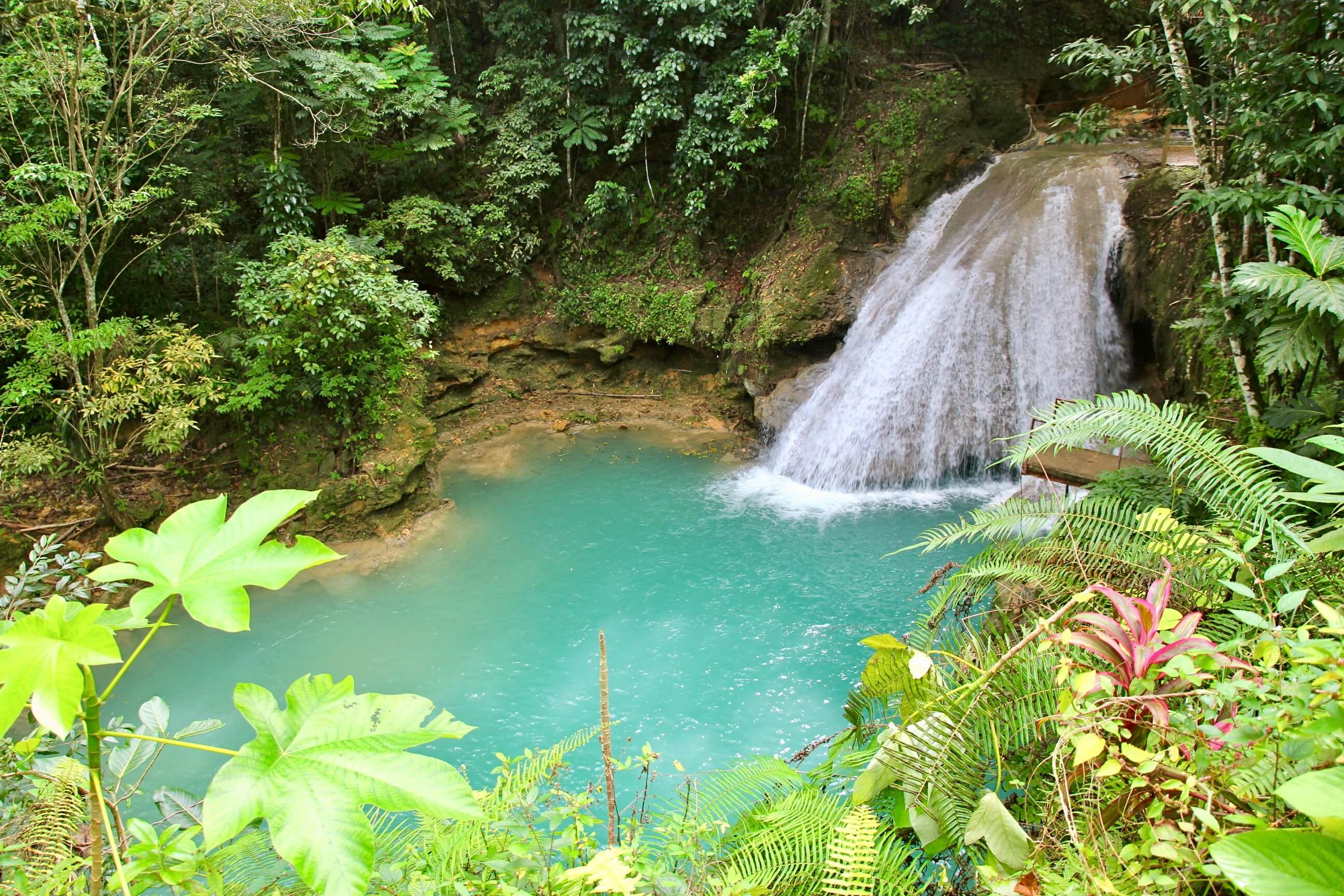 Why You Won't Want To Miss The Blue Hole Jamaica's Hidden Gem Miss