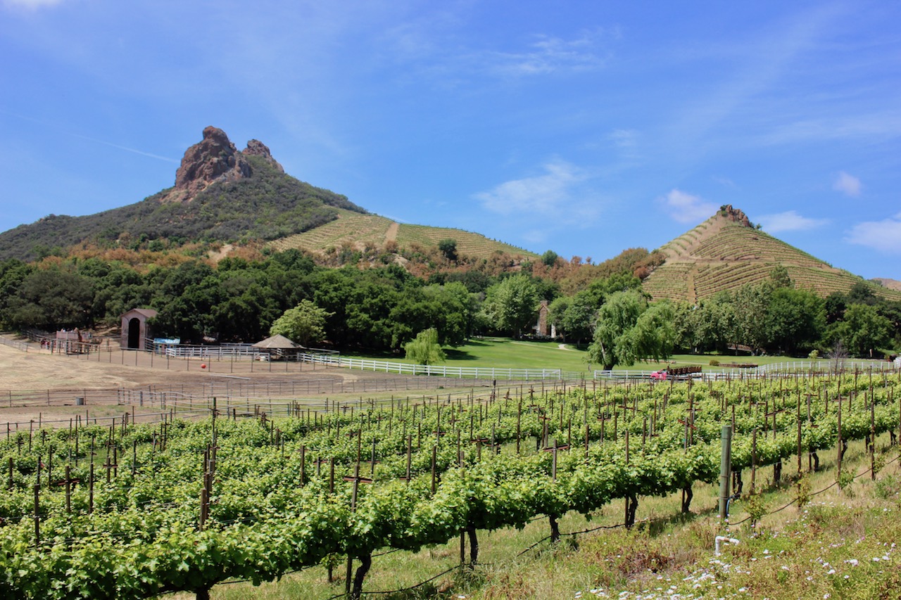 malibu-wine-safari-saddlerock