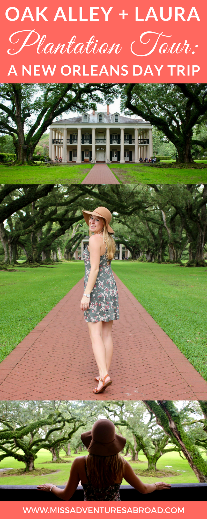 Copy of Copy of Copy of Copy of Ronda (3)