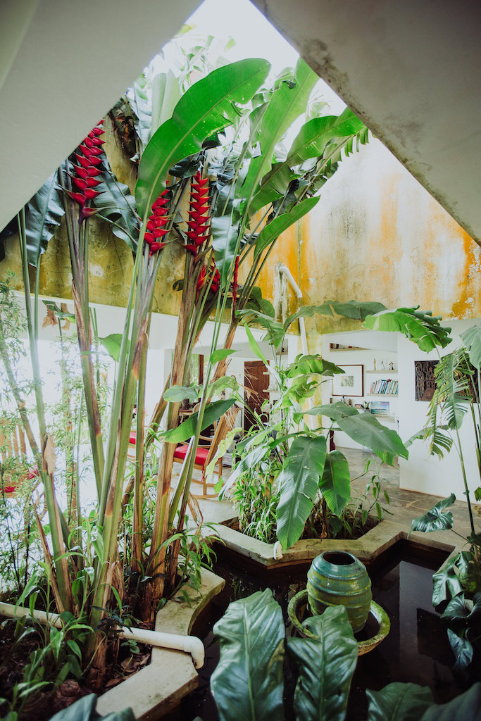 View More: http://themaniniexperience.pass.us/pr2017