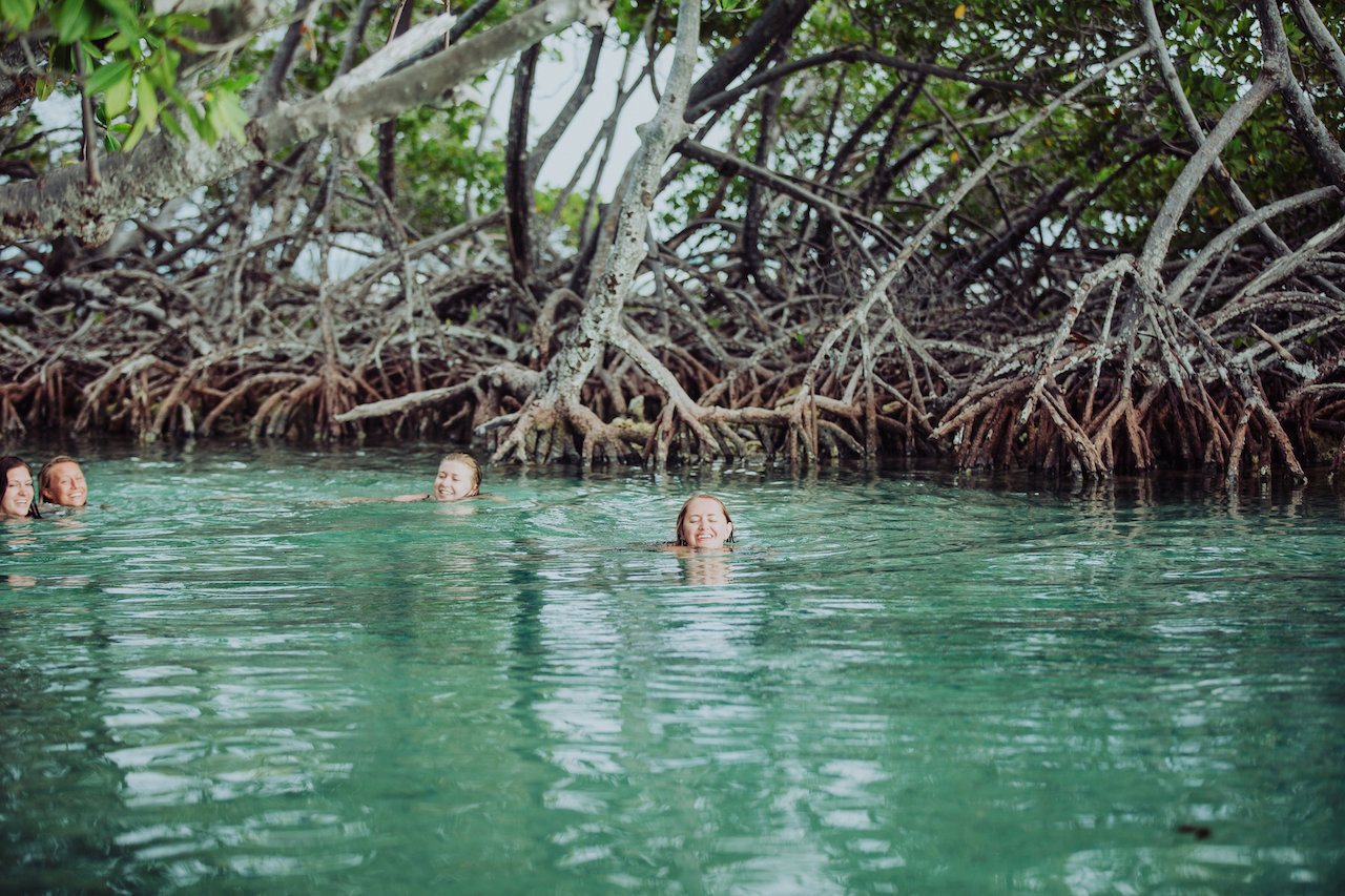 View More: http://themaniniexperience.pass.us/pr2017