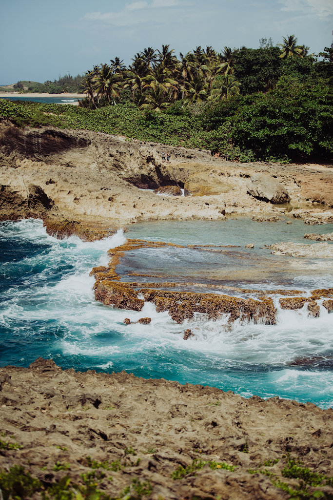 View More: http://themaniniexperience.pass.us/pr2017