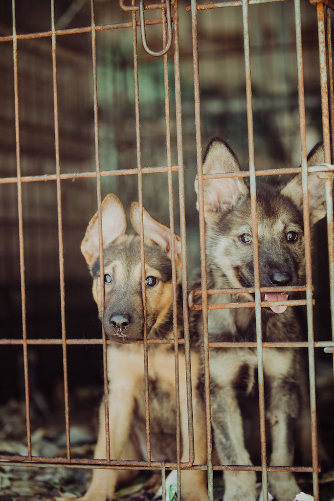 The hard work is totally worth it when you look at these cute pops!