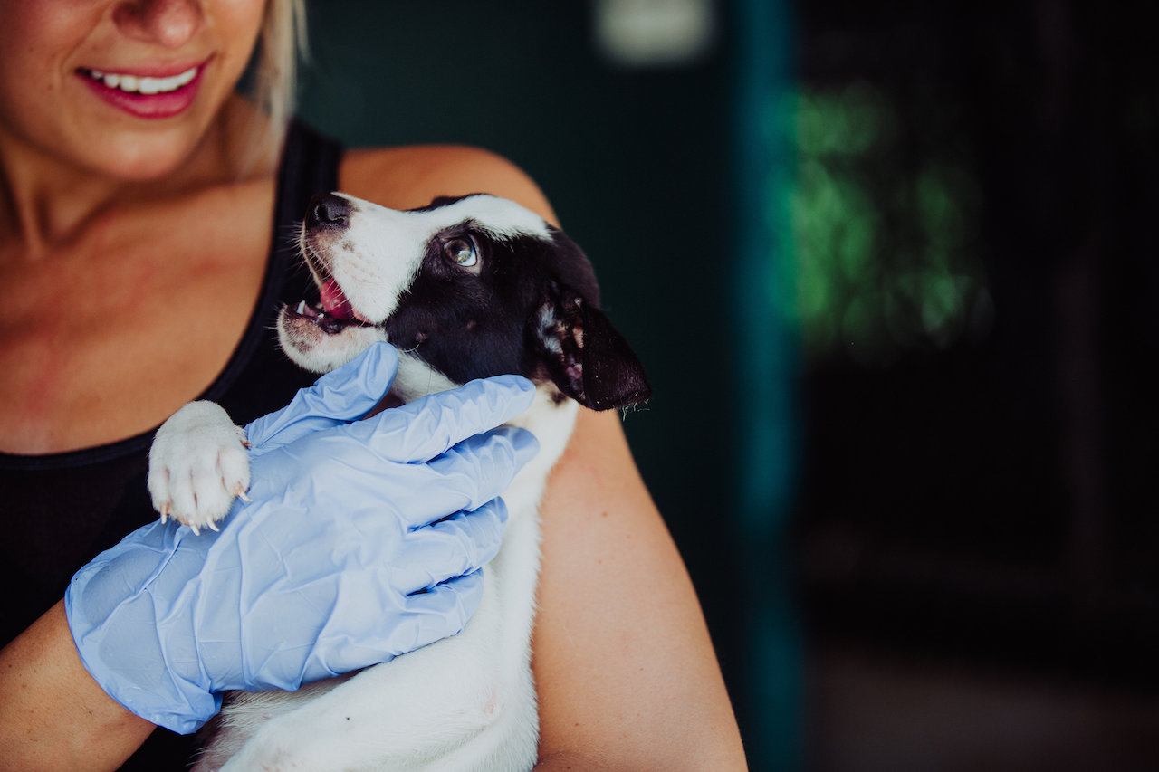 The best part of volunteering? Puppy cuddles!
