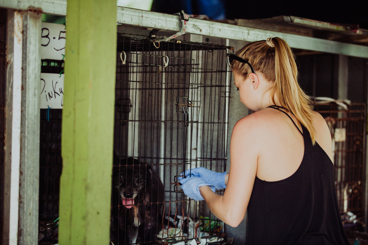 Here I am, cleaning out one of many dog cages of the day. Image: The Manini Experience.