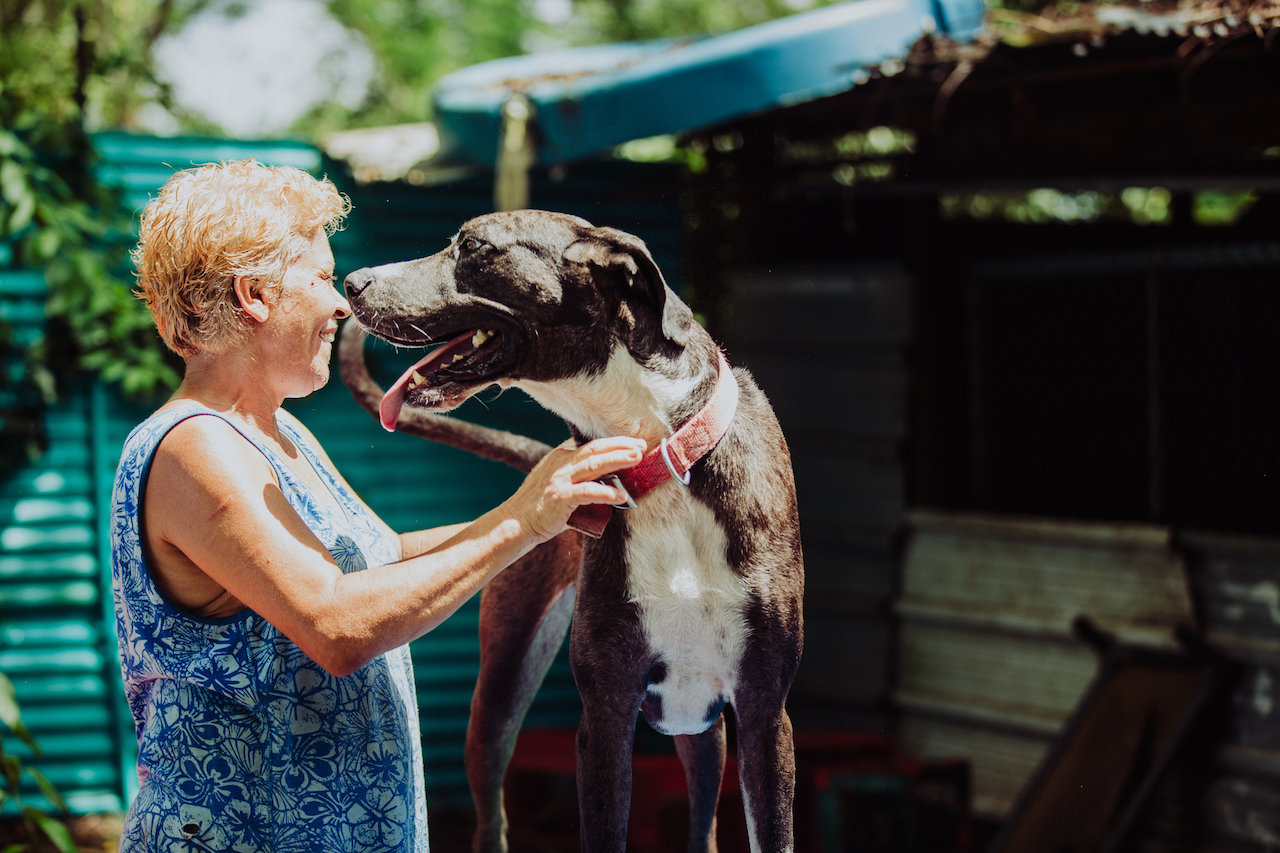 The dedication of the women who run Save a Sato is incredible. They truly are so passionate about the dogs they take in.