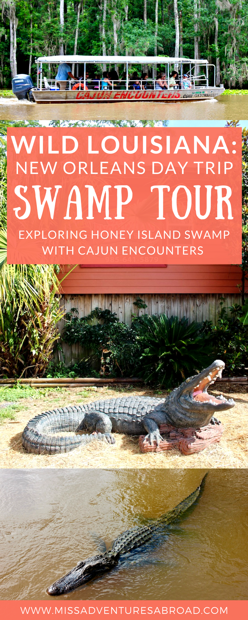 New Orleans Swamp Tour Cajun Encounters
