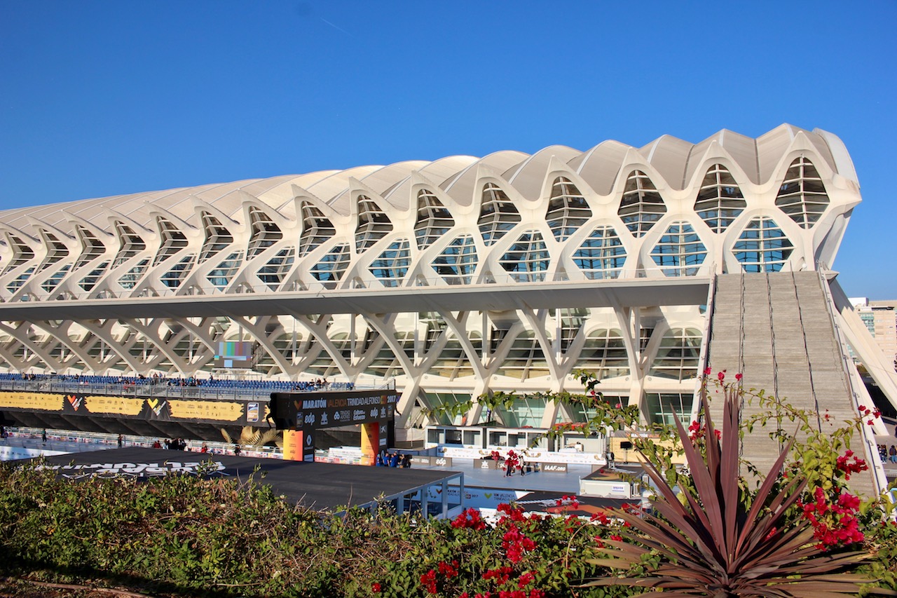 Museu de les Ciències Príncipe Felipe-valencia-spain