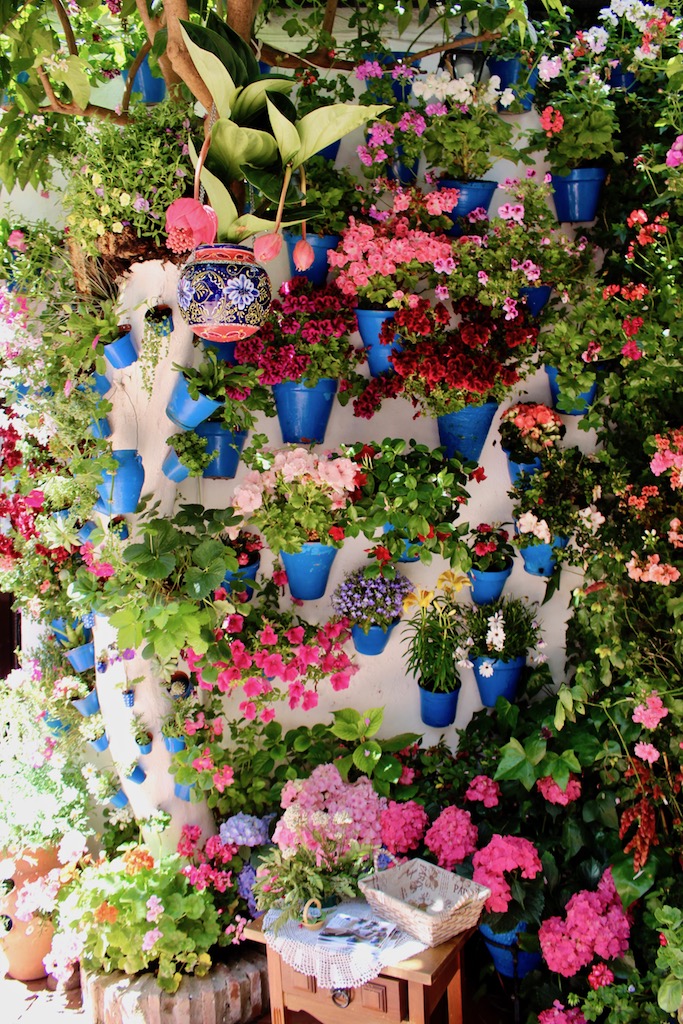 Patios de Cordoba The Enchanting Spanish Flower Festival You Won't