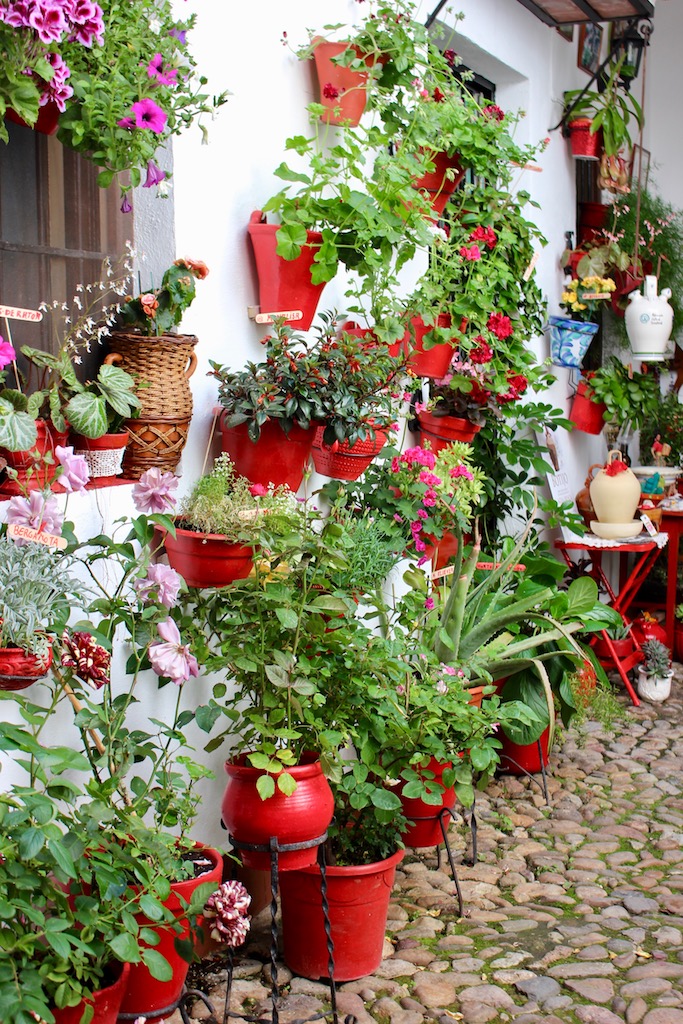 cordoba-patios-red-spain
