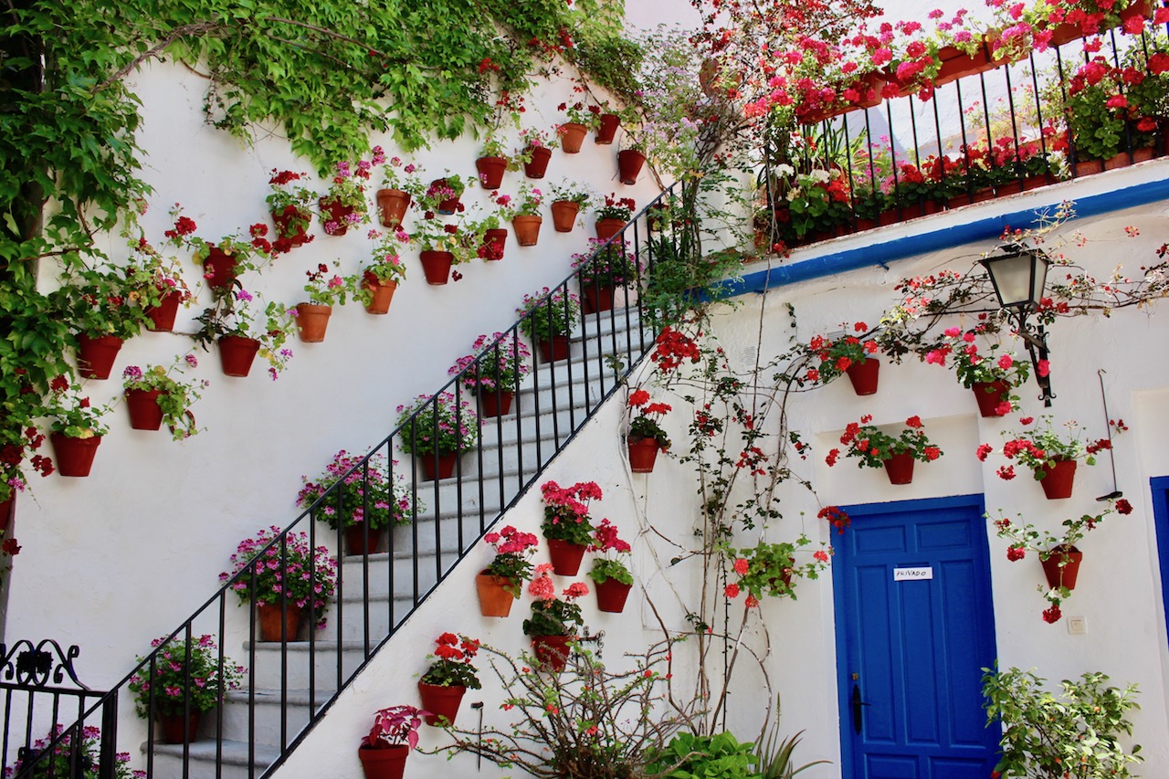 cordoba-patios-spain-6