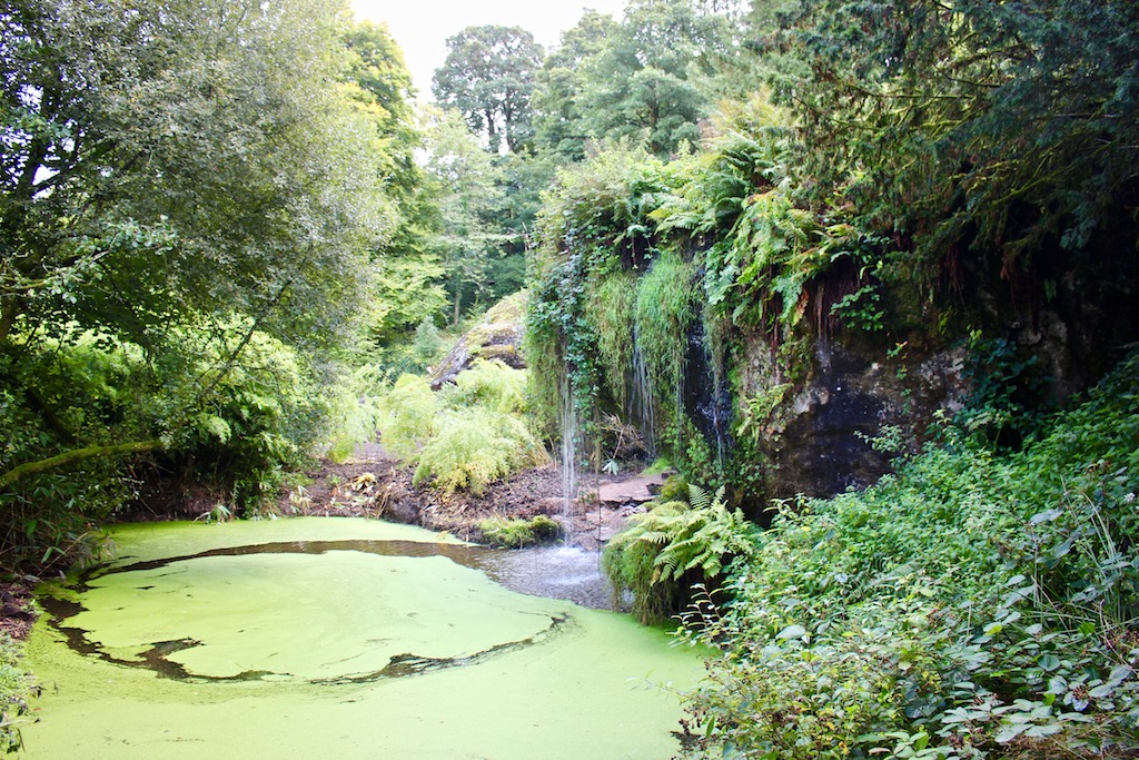 bog garden blarney ireland