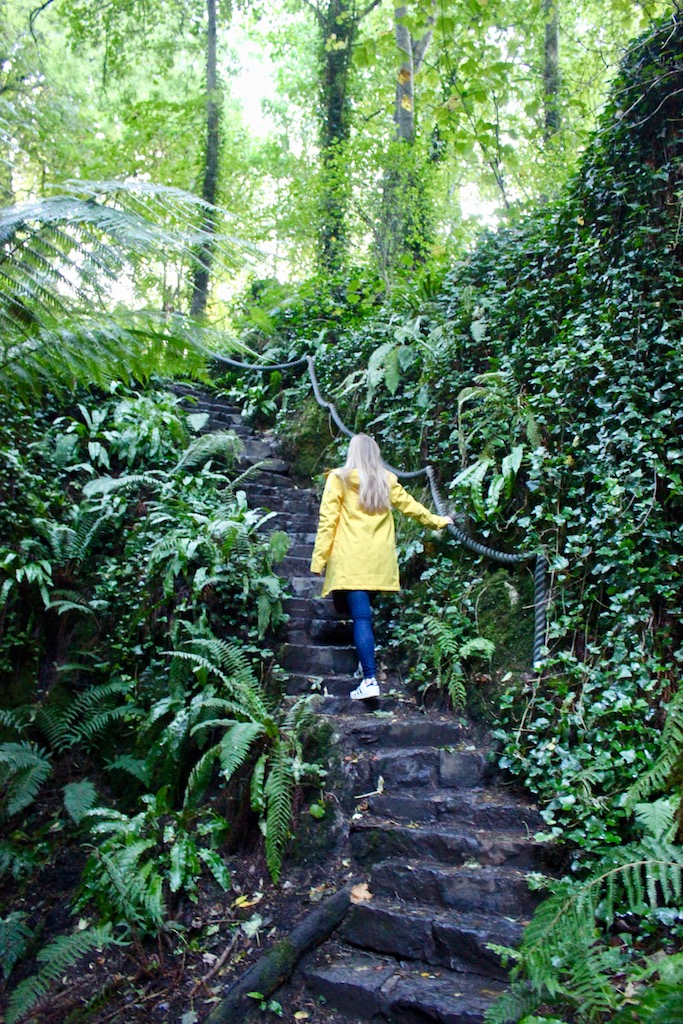 girl fern garden blarney gardens ireland
