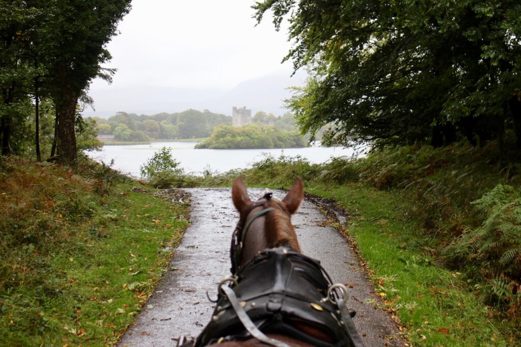 killarney ring of kerry ireland ross castle horse