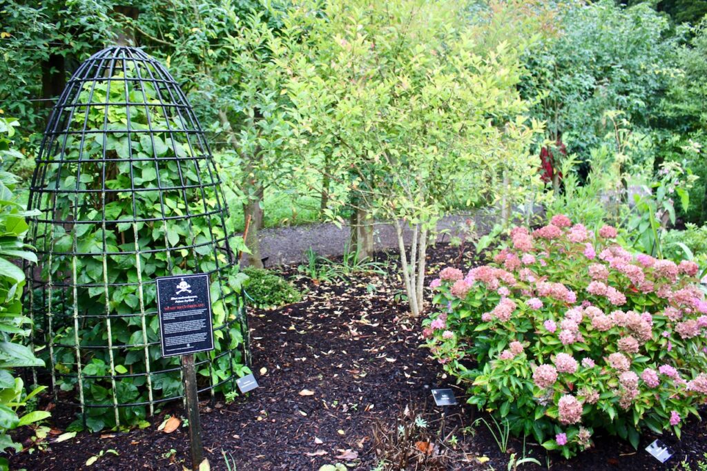 poison garden blarney castle ireland