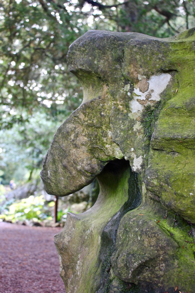 witch's stone blarney ireland